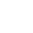 island choice new logo